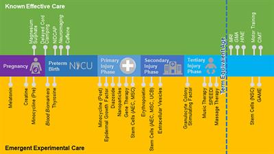 Emergent Prophylactic, Reparative and Restorative Brain Interventions for Infants Born Preterm With Cerebral Palsy